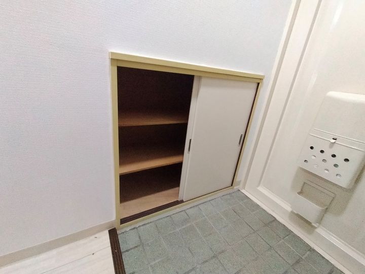 大阪府八尾市東山本新町2丁目の賃貸マンションの玄関