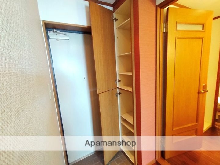 大阪府八尾市相生町2丁目の賃貸マンション307の内装