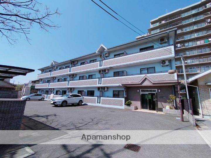 大阪府八尾市相生町2丁目の賃貸マンション307の外観