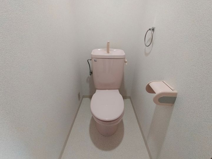 大阪府八尾市南植松町4丁目の賃貸マンション502のその他画像
