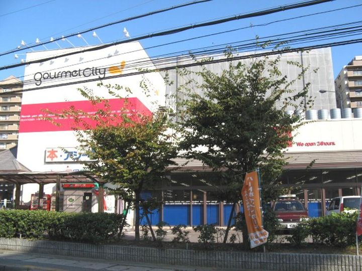 大阪府八尾市南植松町4丁目の賃貸マンション502の周辺