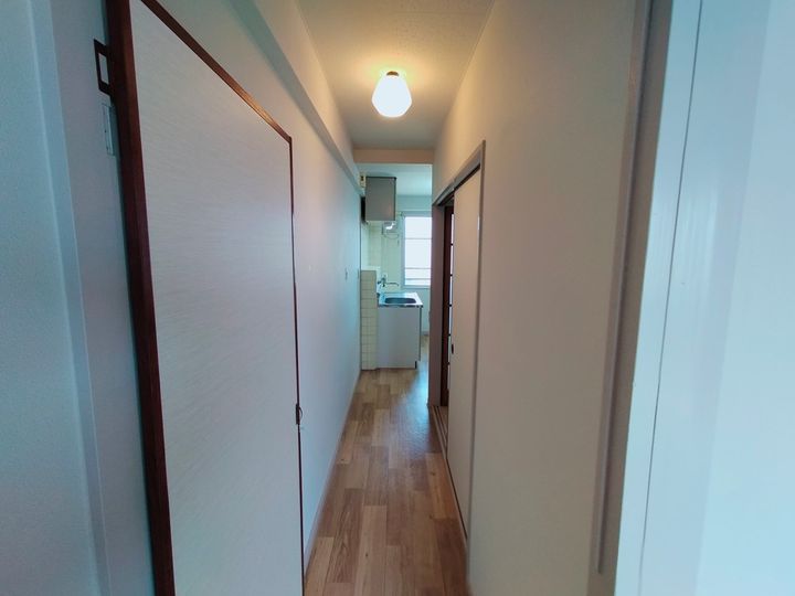 大阪府八尾市西山本町6丁目の賃貸マンション302の内装