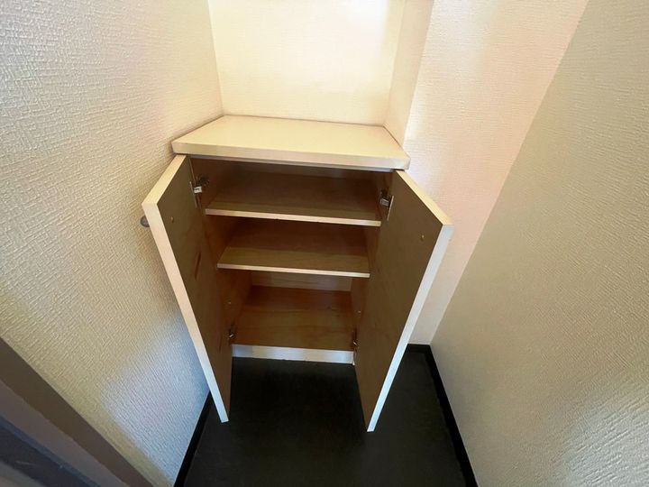 大阪府八尾市太田3丁目の賃貸マンションの内装