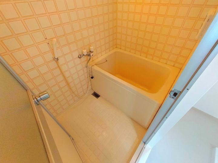 大阪府八尾市高安町南3丁目の賃貸マンションの風呂