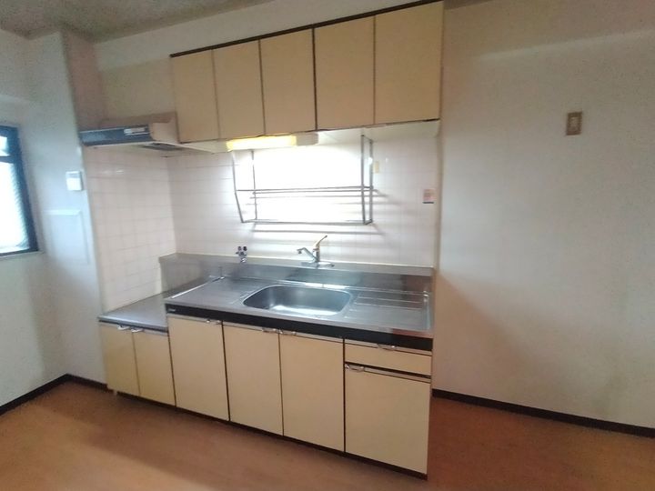 大阪府八尾市恩智南町2丁目の賃貸マンション306のキッチン