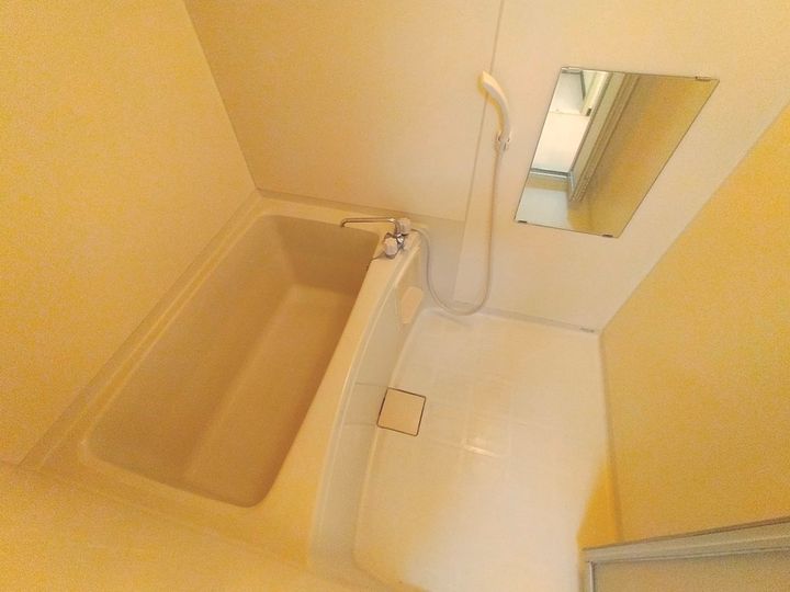 大阪府八尾市恩智南町2丁目の賃貸マンション306の風呂