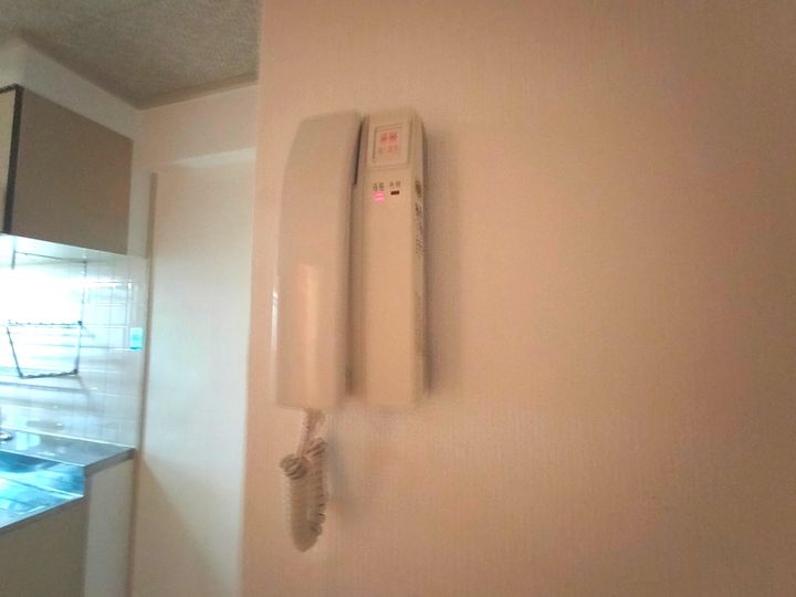 大阪府八尾市恩智南町2丁目の賃貸マンション306のその他画像