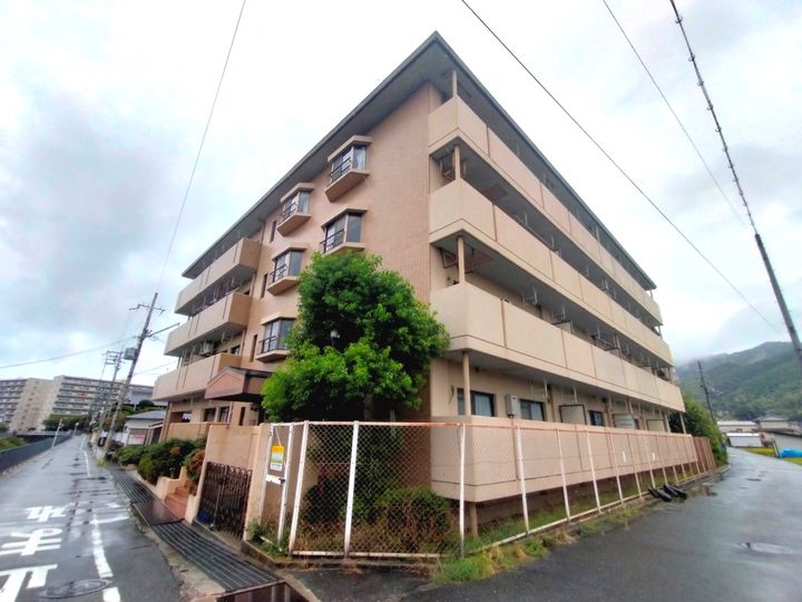 大阪府八尾市恩智南町2丁目の賃貸マンション306の外観