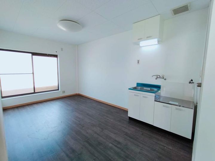 大阪府八尾市高安町南4丁目の賃貸マンションの内装