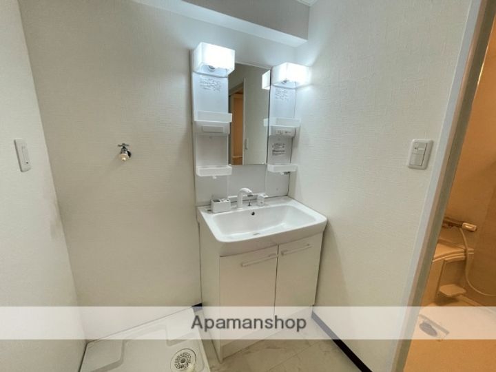 大阪府八尾市東山本新町6丁目の賃貸マンションのその他画像