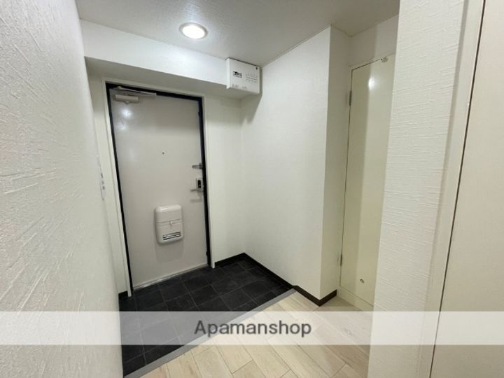 大阪府八尾市東山本新町6丁目の賃貸マンションの玄関