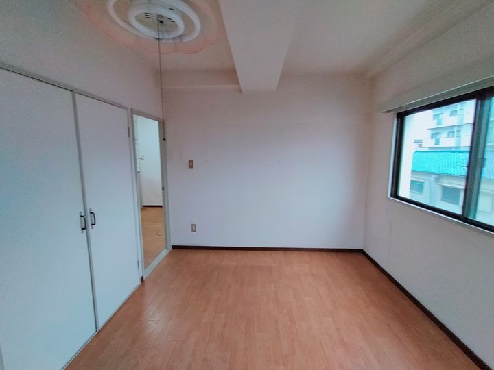 大阪府八尾市志紀町2丁目の賃貸マンションの内装