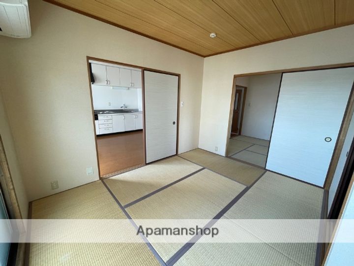 大阪府八尾市志紀町1丁目の賃貸マンションの内装