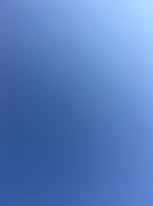 レオパレス藤阪中町のその他画像