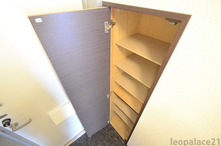 レオネクストウイング 片山の玄関
