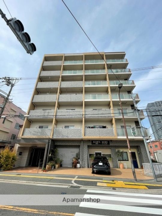 大阪府八尾市跡部北の町3丁目の賃貸マンションの外観