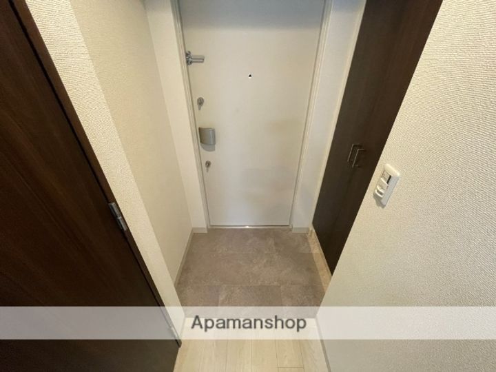 大阪府八尾市光町1丁目の賃貸マンションの玄関