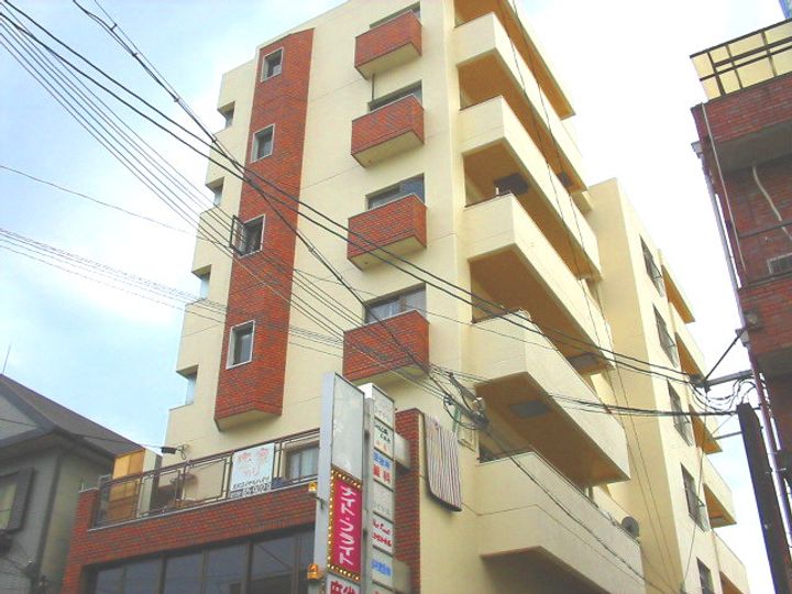 大阪府八尾市志紀町2丁目の賃貸マンションの外観