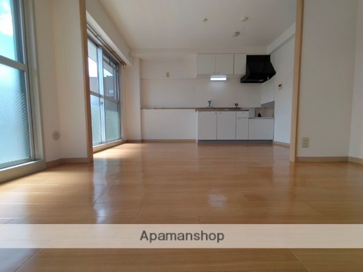 大阪府大阪市鶴見区放出東3丁目の賃貸マンションの内装