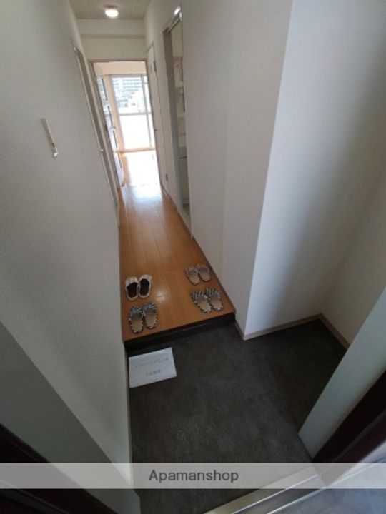 大阪府大阪市鶴見区放出東3丁目の賃貸マンションの玄関