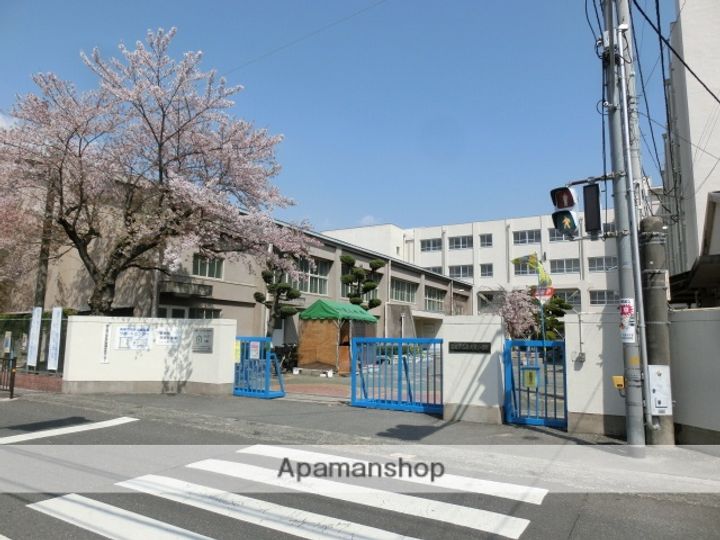 ルミエールの周辺