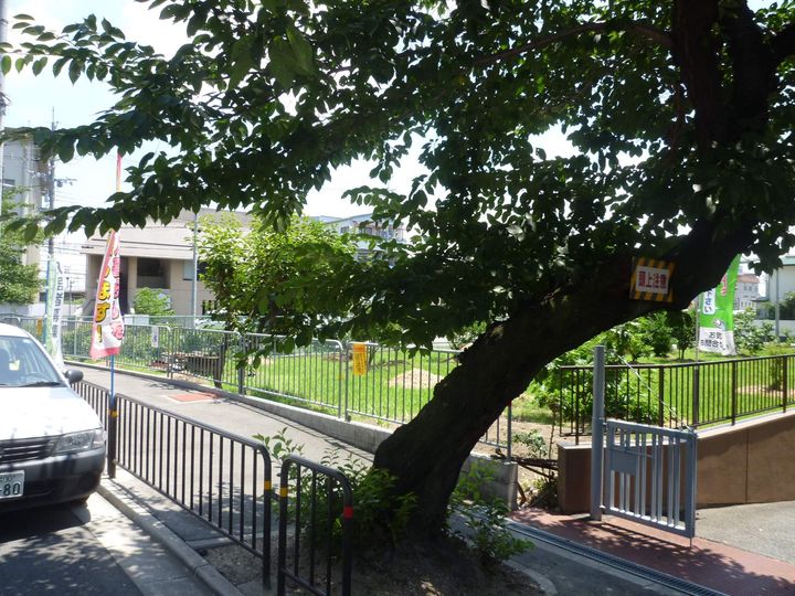 マンション和光の周辺