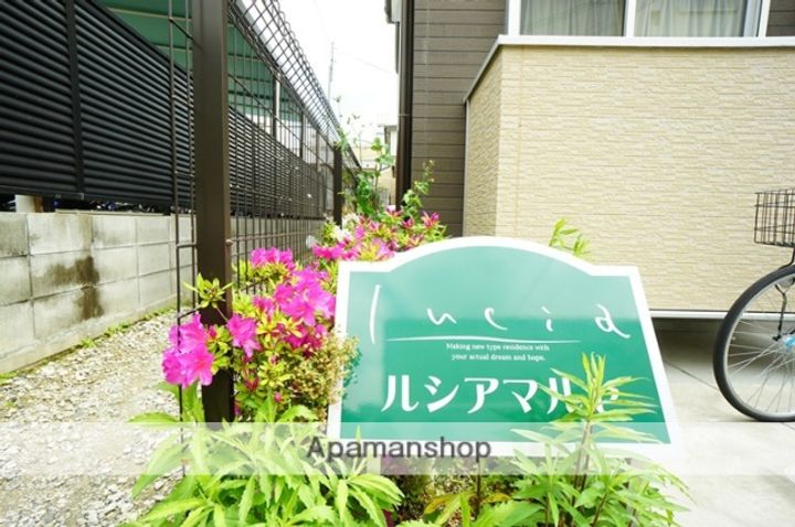 ルシアマルセのその他画像