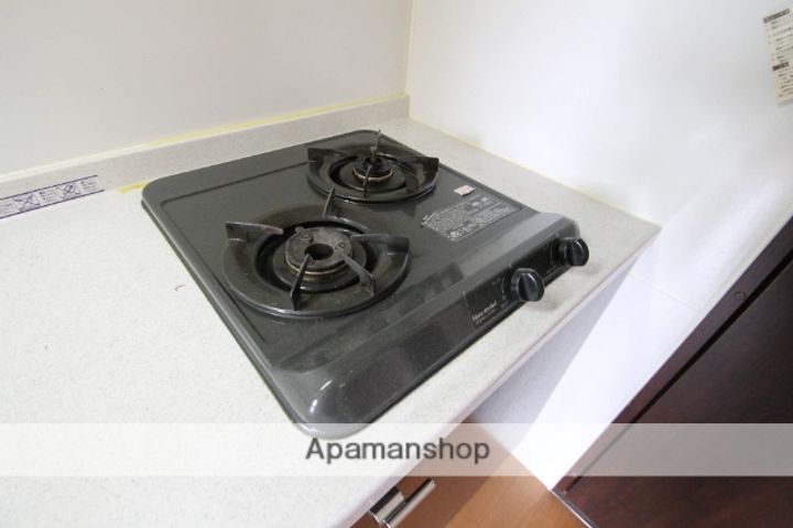 大阪府大阪市淀川区西三国4丁目の賃貸マンションの内装