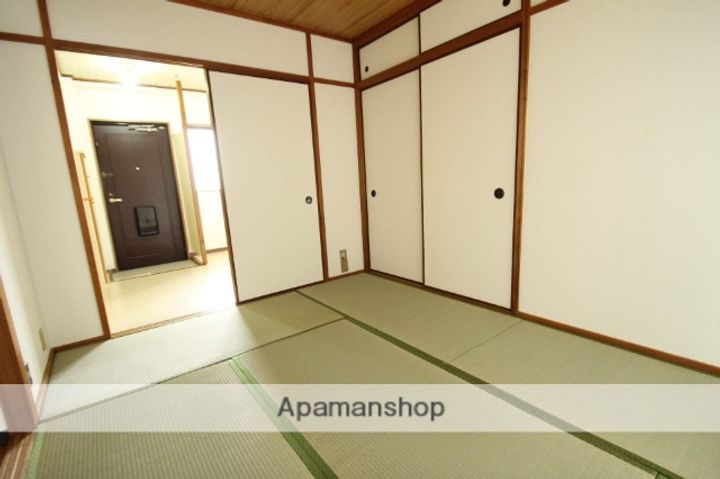 大阪府豊中市庄内幸町2丁目の賃貸マンションの内装