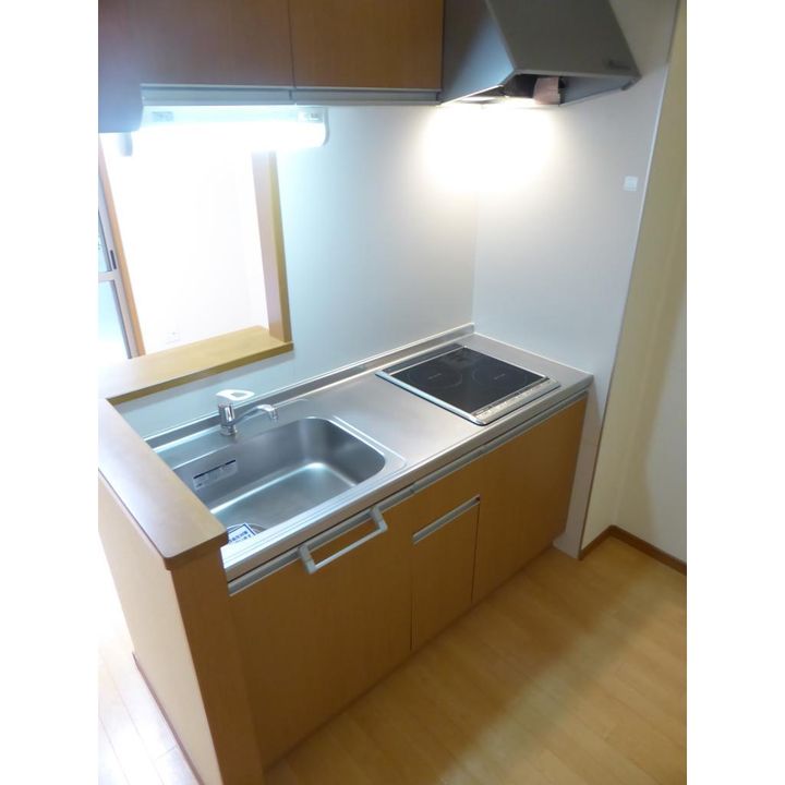 フラットヒル服部 A203号室のキッチン