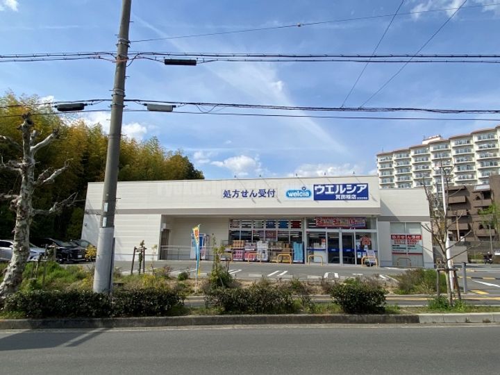 大阪府豊中市緑丘3丁目(一戸建)の賃貸物件戸建ての周辺