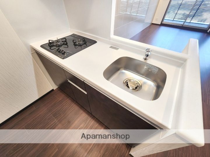 大阪府大阪市淀川区新高5丁目の賃貸マンションのキッチン