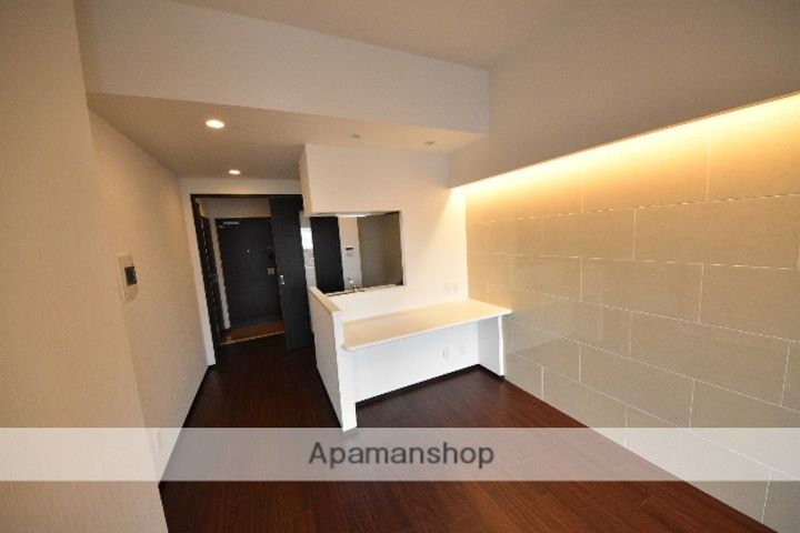 大阪府大阪市淀川区新高2丁目の賃貸マンションの内装