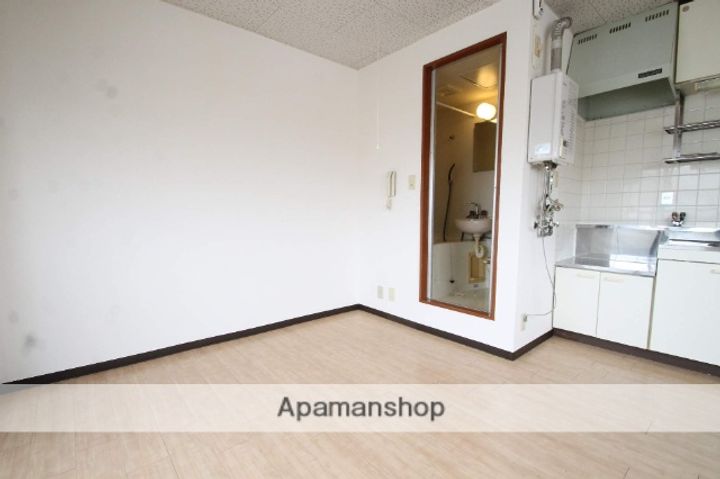 ルミエール大和田302の内装