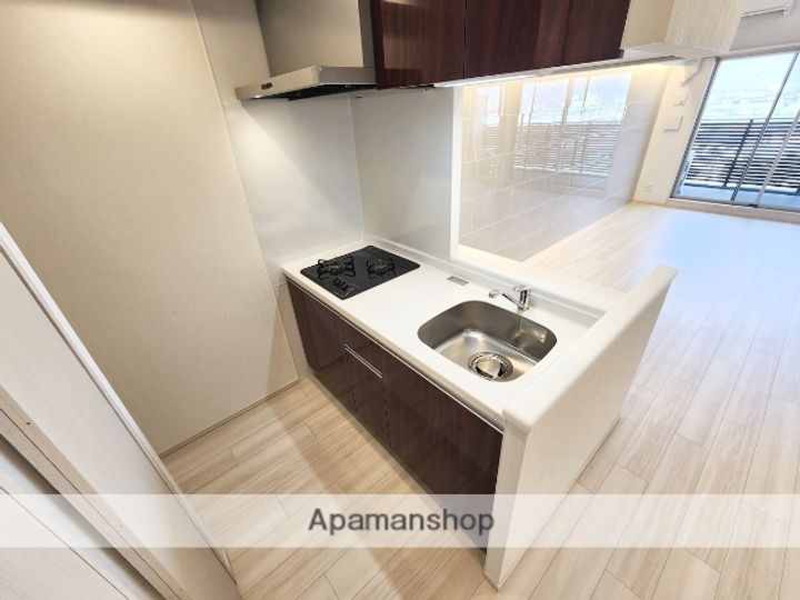 プレジオ三国ASIAN903.のキッチン