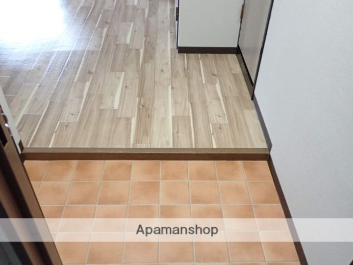 ハイツインブリッジの玄関