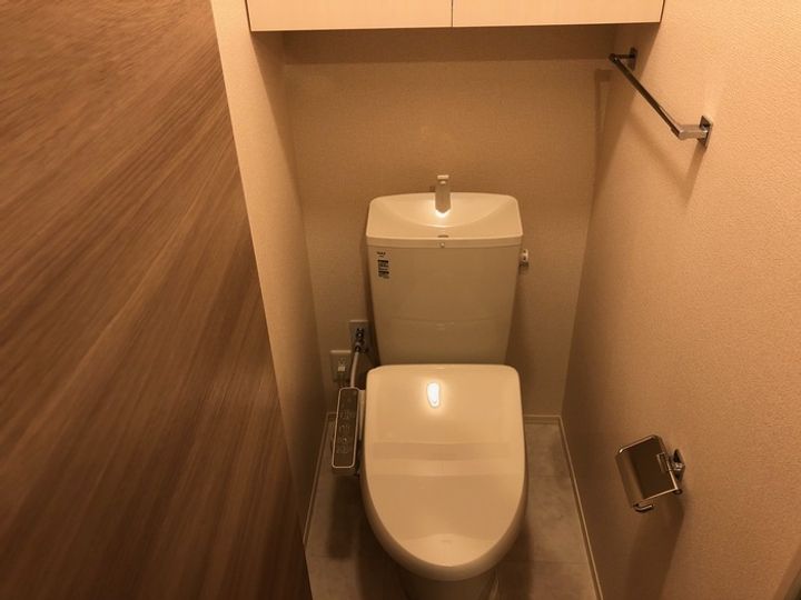 ソシュールのその他画像