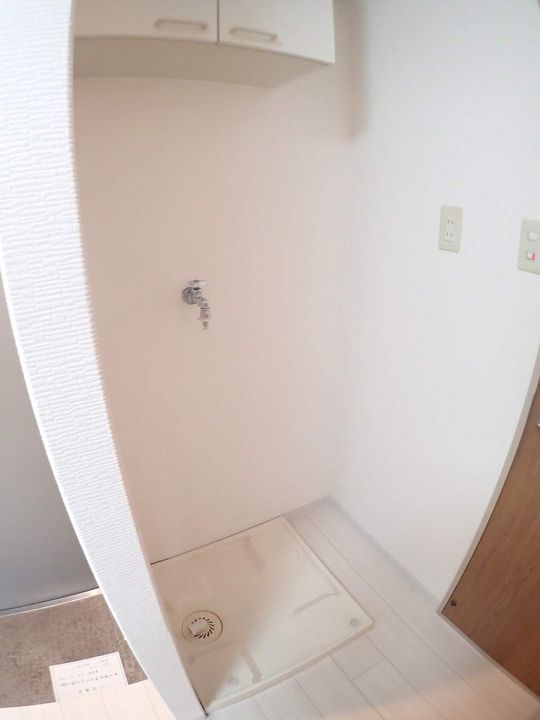 フラットカキノキのその他画像