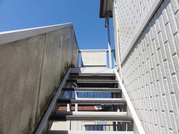 ハニータニガワのその他画像