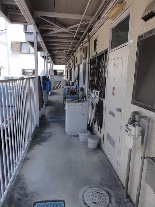 ハニータニガワのその他画像