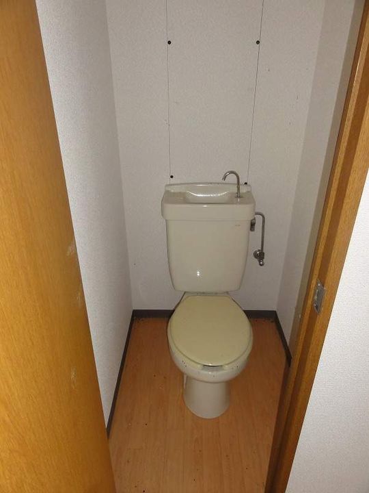 ハニータニガワのその他画像