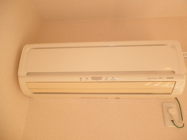 パーシモンのその他画像