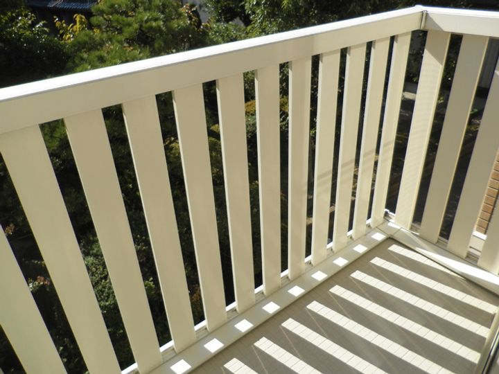 パーシモンのその他画像