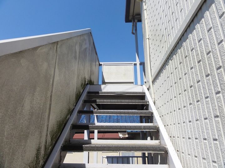 ハニータニガワのその他画像