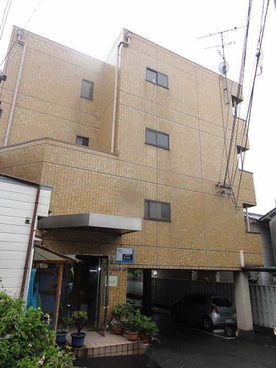 カサベルデー柳の外観