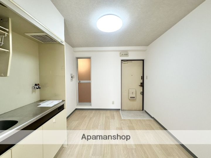 大阪府大阪市東淀川区上新庄2丁目の賃貸マンションの内装