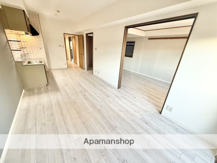 大阪府大阪市東淀川区豊新5丁目の賃貸マンションの内装