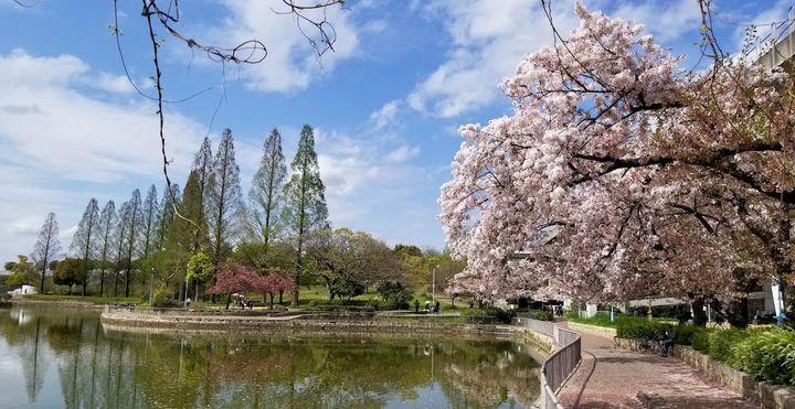 レオパレストウメイの周辺