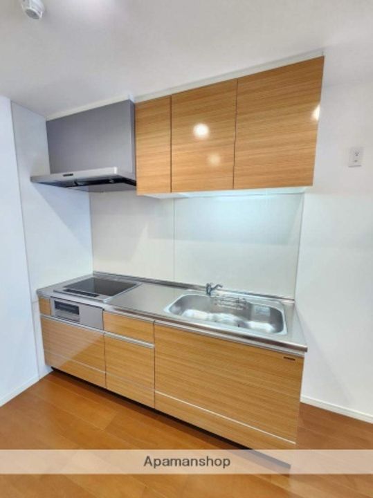 SUNNY SIDE生玉(サニーサイド生玉)301のキッチン