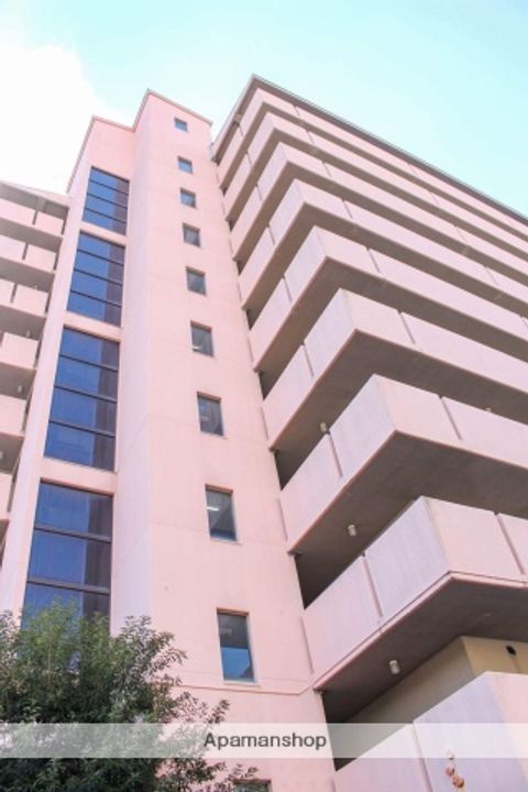 大阪府大阪市北区樋之口町の賃貸マンションの外観